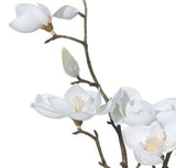 Magnolia Bud Floral Arrangement