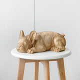 Sleeping Frenchie Puppy - Gold