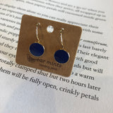 Enamel Coloured Drop earrings