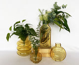 Tall Glass Vase - Amber