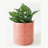Kari Planter Pink 13cm